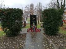 IMG 20221120 122949